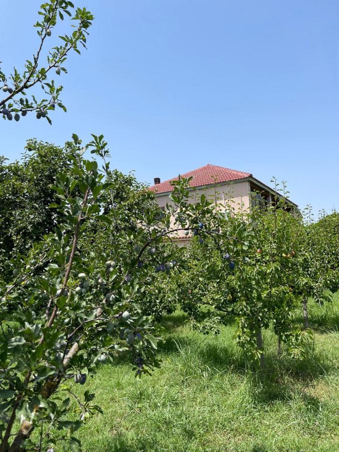 Villa Mance Berat Dış mekan fotoğraf