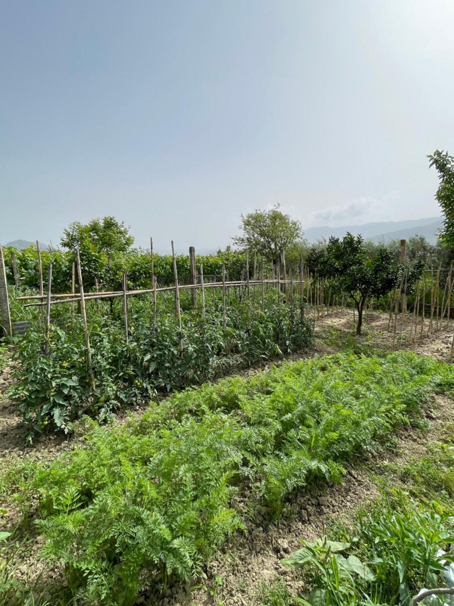 Villa Mance Berat Dış mekan fotoğraf
