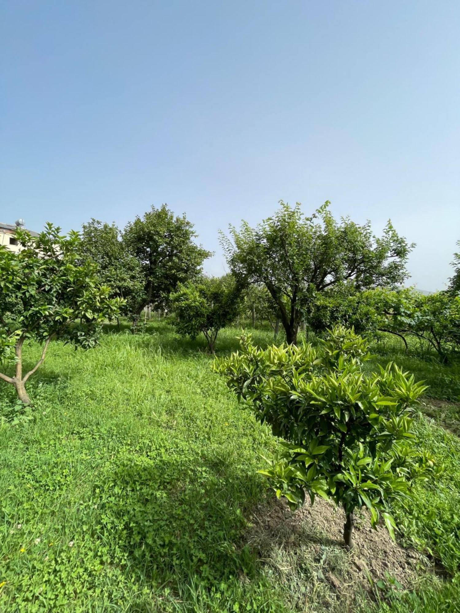 Villa Mance Berat Dış mekan fotoğraf
