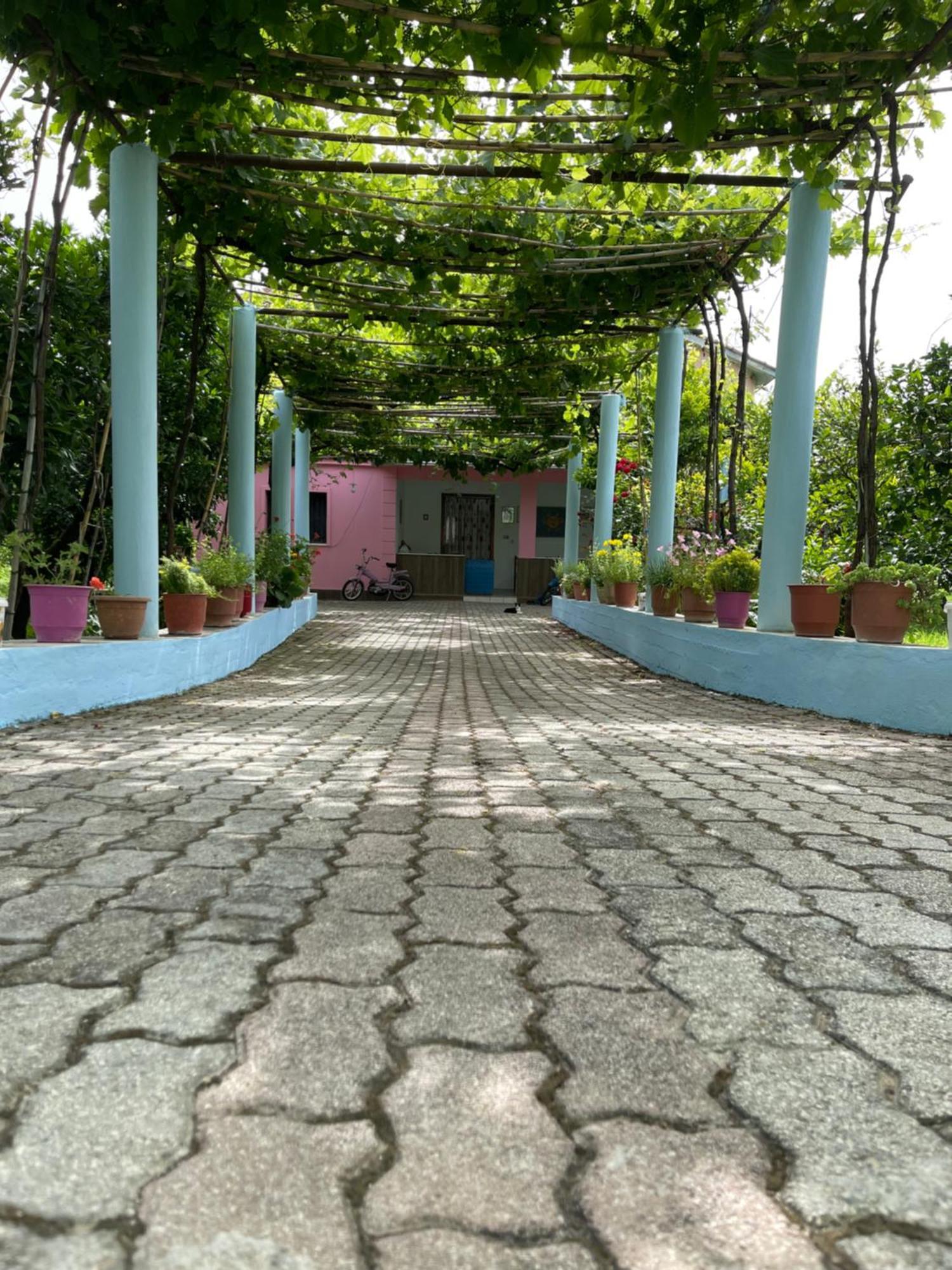 Villa Mance Berat Dış mekan fotoğraf