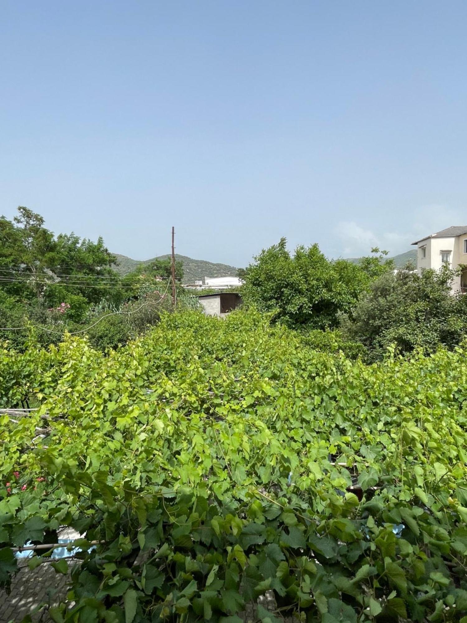 Villa Mance Berat Dış mekan fotoğraf